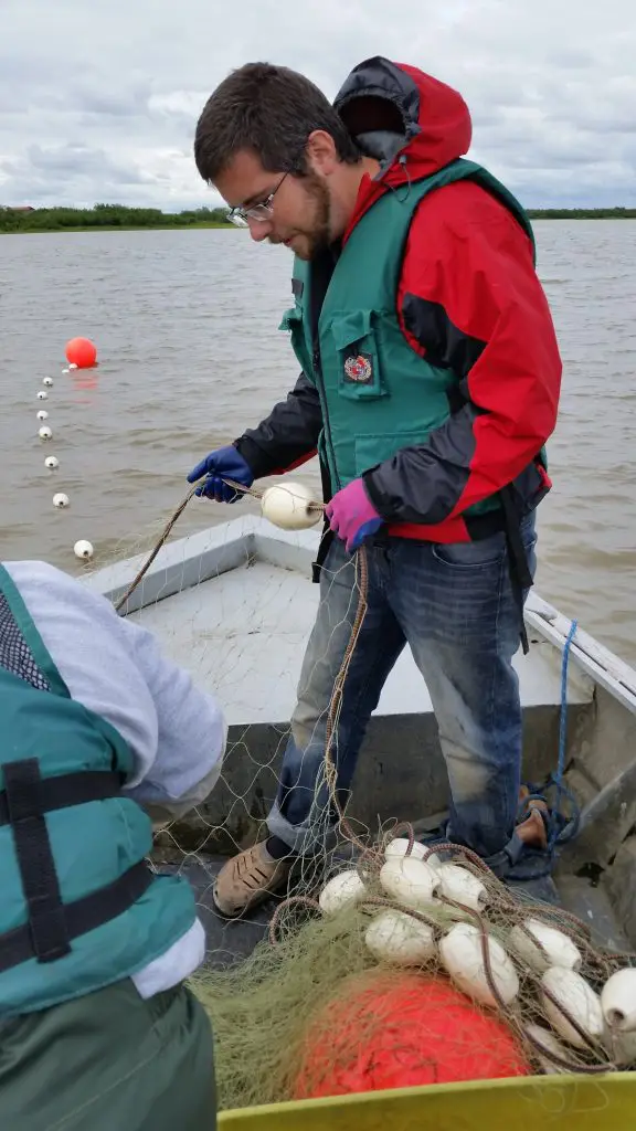 Kris drift netting on the Kuskokwim river