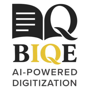BIQE Software Solutions Logo