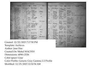 Metadata in digitization projects
